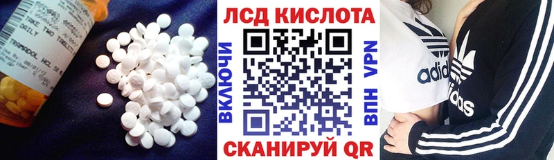 LSD-25 экстази кислота  Оса 